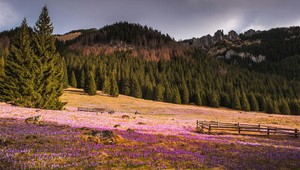 Druhá strana Tatier ukrýva hotový poklad