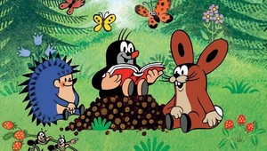 Šokujúca informácia z EURA! Tréning Angličanov prerušil krtko