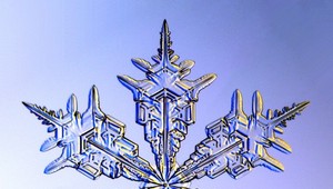 Dokonalé tvary: Vločky pod mikroskopom II.