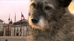 Slovensko má HAČIKA!