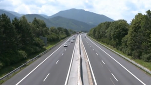 Tri zrazené medvede na diaľnici. Vodič nehodu neohlásil