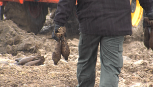 VIDEO: Pyrotechnici odpálili vyzbieranú muníciu a my sme boli pri tom!