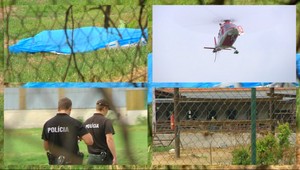 Býk zabil muža (†24). Pri nakladaní na porážku