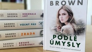 Strhujúce čítanie na leto: Práve vyšiel romantický triler Podlé úmysly