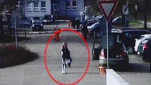 Videli ste ich? Spoznajte drzých zlodejov