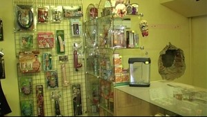 Neskonalá túžba: Vlámali sa do sexshopu!