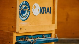 Projekt KRAJa na podporu včelárov priniesol svoju úrodu – 700 kíl medu od študentov včelárstva