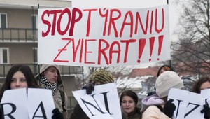 Polícia obvinila ženu, ktorá mala hodiť psíka do studne