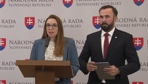 Tlačová beseda strany PS: Prepúštanie ľudí a vláda