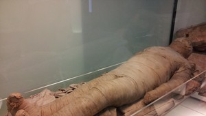 Tajomstvo múmií odhalené: Nechceli ich zachovať, všetko doteraz sme vedeli zle