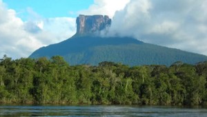 Šesť dní po havárií žili v divokej džungli. Preživších zachránili indiáni