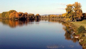 Kokaín v európskych riekach škodí úhorom. Poškodzuje im svaly a ničí potrebný tuk