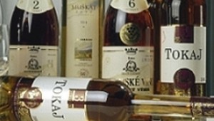 Vinohradníci vyzývajú politikov, aby Tokaj nezneužívali