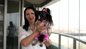 Nora Kabrheľová v spoločnosti svojho exmanžela: Veď ten vyzerá ako úplne iný človek!