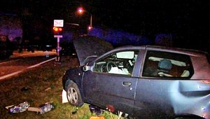 Nehoda vlaku s autom. Vodička sa druhýkrát narodila, pes si zlomil labu