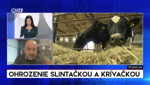 Štúdio 24: Ohrozenie slintačkou a krívačkou