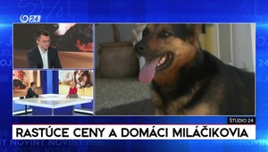 Štúdio 24: Rastúce ceny a domáci miláčikovia
