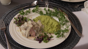 Hlavné jedlo: Kôra lesná