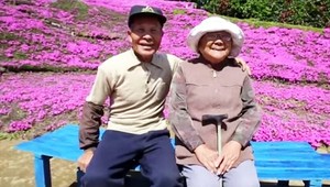 Japonec vysádzal tisíce kvetín, aby potešil svoju slepú manželku