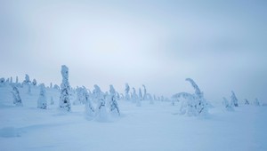 V Rusku objavili zvláštne múmie: Môžu zmeniť naše dejiny