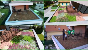 Ako zmeniť fádnu zelenú plochu na krásnu záhradu? Poradia vám odborníci