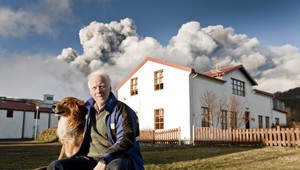 Zaobstarajte si psa, predĺžite si život a zlepšíte zdravie, potvrdili vedci