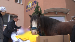 Hospice bojujú o prežitie: Pomoc neprichádza a čas sa kráti