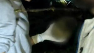 Šokujúci nález: Študenti našli v hustých kríkoch ľudskú lebku