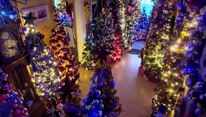 VIDEO: Takto žije manželský pár, ktorý má doma 600 vianočných stromčekov