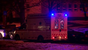 Silvestrovská noc je skúškou pre záchranárov, hasičov a zvieratá