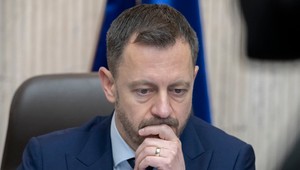 Odovzdanie migov Ukrajine: Mala na to vláda právomoc?