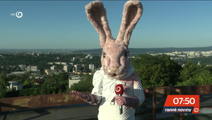 Nečakané prekvapenie pre divákov: Aha, aký fórik sme urobili s Králikom zo Zlatej masky!