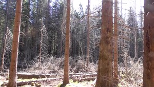 Chatári nechcú veľmi dvíhať ceny. Ľudia majú podľa nich menej peňazí