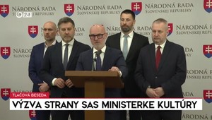 Tlačová beseda strany SaS: Výzva ministerke kultúry