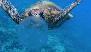 Čas na občerstvenie