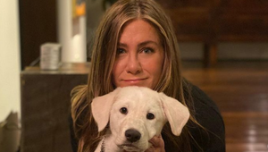 Špekulácie o tehotenstve Jennifer Aniston: Nikto nevie, čo sa deje!