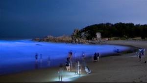 Svietivky rozžiarili more jasne modrou farbou