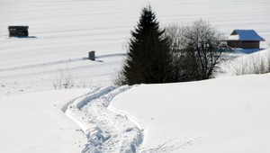 - 25 °C a ďalšia obeť? Len záchvev slovenskej zimy