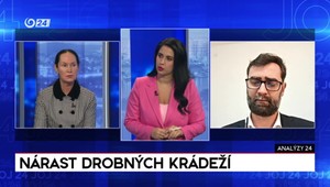 Analýzy 24: Žandári by mohli odbremeniť štátnu políciu, mieni Hattas