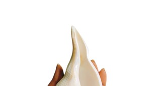 Chrápete? Tento staroveký rituál pred spánkom vám podľa vedcov môže pomôcť