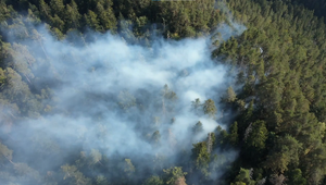 FOTOGALÉRIA: Boj s požiarom v Slovenskom raji pokračoval. Hasiči dohášali tlejúce ohniská