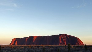 Turisti sa už nedostanú na symbol Austrálie