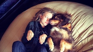 Herci, ktorí si svojich psích miláčikov adoptovali z útulkov