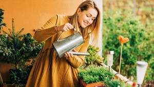 Založte si bylinkovú záhradku na balkóne: Týmto rastlinám sa bude dariť aj v kvetináči