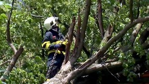 Silný vietor lámal stromy na severe a východe Slovenska