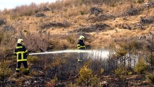 Pre zle uhasené ohnisko zhorel pri Rožňave hektár lesa