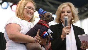 Najškaredší pes sveta? Zoznámte sa s Muglym...