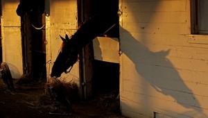 V Šuranoch pobeží aj Loupežník Lotrando a Zagroškudla
