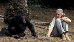 Zomrela uznávaná primatologička Jane GOODALL