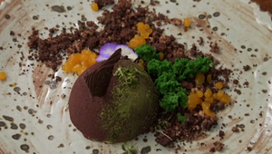 Dezert: Boletus Recitulatus